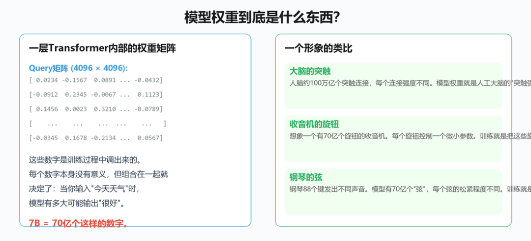权重矩阵内部：每个数本身没有意义，组合起来决定模型行为